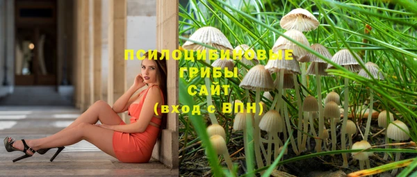2c-b Куйбышев