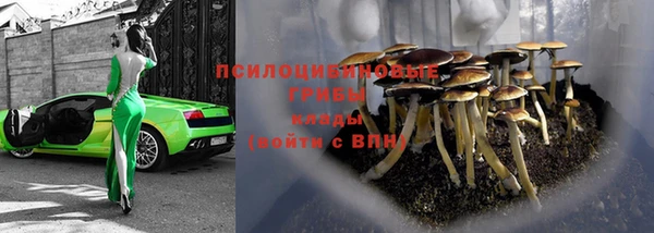 экстази Кулебаки