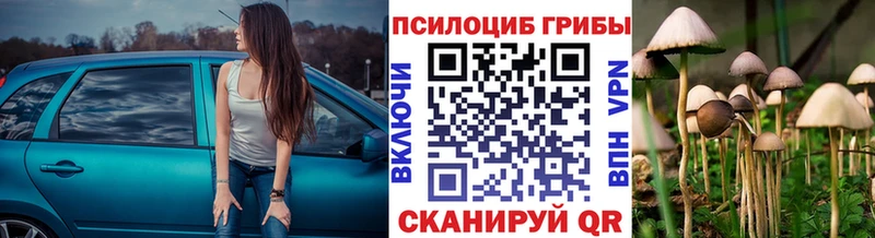 Псилоцибиновые грибы мухоморы где найти наркотики Горбатов