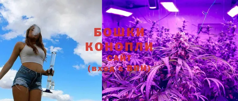 Шишки марихуана Ganja  Горбатов 